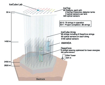 Schematic layout of IceCube facility.